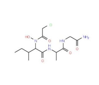 Chloroacetyl-HOLeu-Ala-Gly-NH<sub>2</sub> (CAS 95602-96-3) - chemical structure image