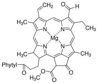 Chlorophyll b (CAS 519-62-0) - chemical structure image