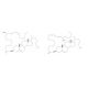 Cholesteryl Linoleate Hydroperoxides 的分子结构 Cholesteryl Linoleate Hydroperoxides - chemical structure image