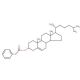 Cholesteryl phenylacetate 的分子结构, CAS编号: 33998-26-4 Cholesteryl phenylacetate (CAS 33998-26-4) - chemical structure image