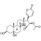 Cinobufotalin (CAS 1108-68-5) - chemical structure image