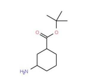 cis + trans t-Butyl-3-aminocyclohexane carboxylate - chemical structure image