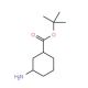 cis + trans t-Butyl-3-aminocyclohexane carboxylate - chemical structure image