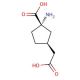 cis-1,3-homo-ACPD (CAS 194785-82-5) - chemical structure image