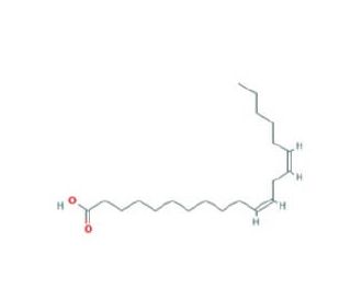 cis-11,14-Eicosadienoic acid (CAS 5598-38-9) - chemical structure image