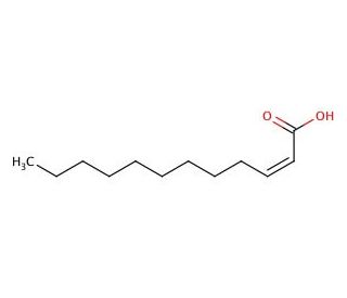 cis-2-Dodecenoic acid - chemical structure image