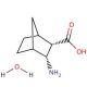 cis-endo-3-Aminobicyclo[2.2.1]heptane-2-carboxylic acid monohydrate (CAS 104308-53-4) - chemical structure image