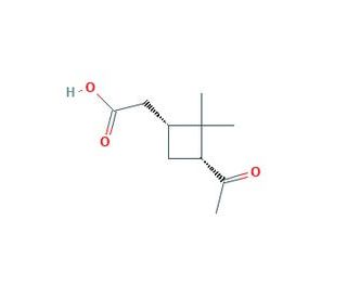 cis-Pinonic acid (CAS 61826-55-9) - chemical structure image