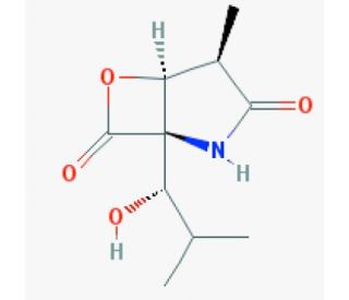 clasto-Lactacystin &beta;-lactone (CAS 155975-72-7) - chemical structure image