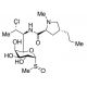 Clindamycin sulfoxide (CAS 22431-46-5) - chemical structure image