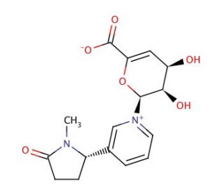 Cotinine N-(4-Deoxy-4,5-didehydro)-&beta;-D-glucuronide (CAS 146275-15-2) - chemical structure image