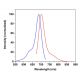 CruzFluor™ 680 succinimidyl ester: sc-362621 