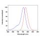 CruzFluor™ 750 succinimidyl ester: sc-362623 