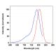 CruzFluor™ 790 succinimidyl ester: sc-362624 