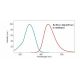 CruzFluor sm™ 1 succinimidyl ester: sc-362576