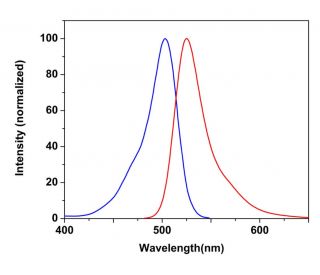 CruzFluor sm&trade; 2 maleimide: sc-362581