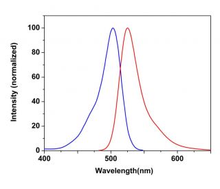 CruzFluor sm&trade; 2 succinimidyl ester: sc-362583 