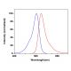 CruzFluor sm™ 2 succinimidyl ester: sc-362583 