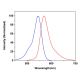 CruzFluor sm™ 3 azide: sc-394016