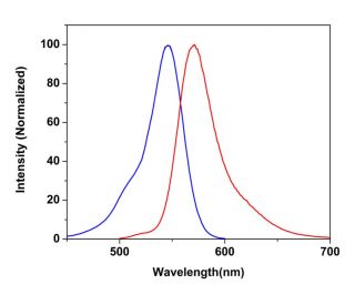 CruzFluor sm&trade; 3 maleimide: sc-362588