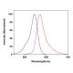 CruzFluor sm™ 3 maleimide: sc-362588