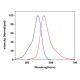 CruzFluor sm™ 3 succinimidyl ester: sc-362590 