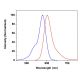 CruzFluor sm™ 4 maleimide: sc-362593