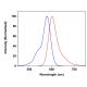 CruzFluor sm™ 4 succinimidyl ester: sc-362595
