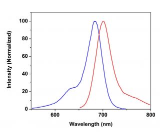 CruzFluor sm&trade; 6 succinimidyl ester: sc-362606