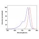 CruzFluor sm™ 8 maleimide: sc-362613