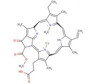 Cu(II) Pheophorbide a - chemical structure image