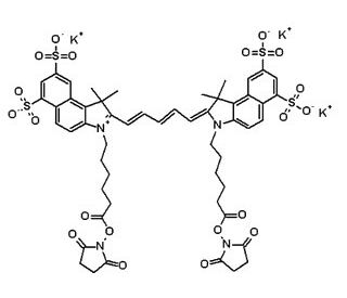 Cyanine 5.5 bissuccinimidyl ester, potassium salt - chemical structure image 