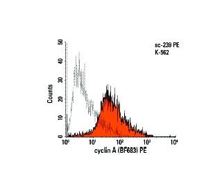 cyclin A Antibody (BF683) - Flow Cytometry - Image 519 