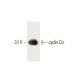 cyclin D3 Antibody (1) - Western Blotting - Image 60274 