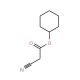 Cyclohexyl cyanoacetate (CAS 52688-11-6) - chemical structure image
