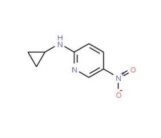 Cyclopropyl-(5-nitro-pyridin-2-yl)-amine (CAS 246862-51-1) - chemical structure image