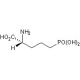 D(−)-2-Amino-5-phosphonovaleric acid (D-AP5) (CAS 79055-68-8) - chemical structure image