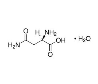 D-Asparagine monohydrate (CAS 5794-24-1) - chemical structure image