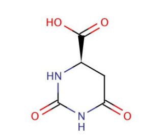 D-Hydroorotic acid (CAS 5988-53-4) - chemical structure image
