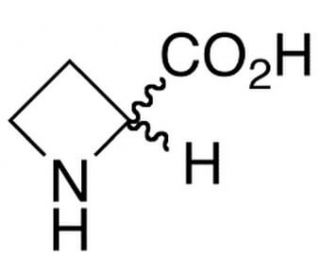 D,L-Azetidine-2-Carboxylic Acid (CAS 20063-89-2) - chemical structure image