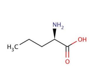 D-Norvaline (CAS 2013-12-9) - chemical structure image