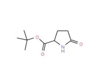 D-Pyroglutamic acid tert-butyl ester (CAS 205524-46-5) - chemical structure image