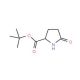 D-Pyroglutamic acid tert-butyl ester (CAS 205524-46-5) - chemical structure image