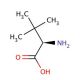 D-tert-Leucine (CAS 26782-71-8) - chemical structure image