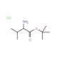 D-Valine t-butyl ester hydrochloride 的分子结构, CAS编号: 104944-18-5 D-Valine t-butyl ester hydrochloride (CAS 104944-18-5) - chemical structure image