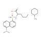 Dansyl-DL-norleucine cyclohexylammonium salt (CAS 84540-65-8) - chemical structure image