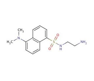 Dansyl Ethylenediamine (CAS 35060-08-3) - chemical structure image