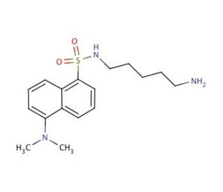Dansylcadaverine (CAS 10121-91-2) - chemical structure image