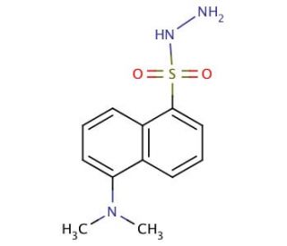 Dansylhydrazine (CAS 33008-06-9) - chemical structure image