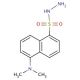 Dansylhydrazine (CAS 33008-06-9) - chemical structure image